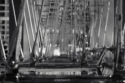 Schwarzweißfoto 12